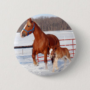 Belgian Mare and Filly 2 Inch Round Button