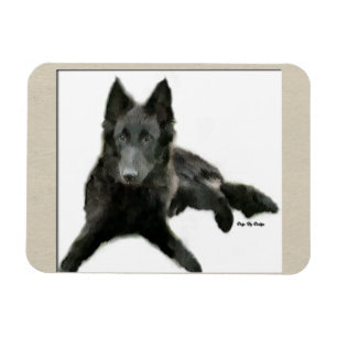 Belgian Sheepdog Art Magnet