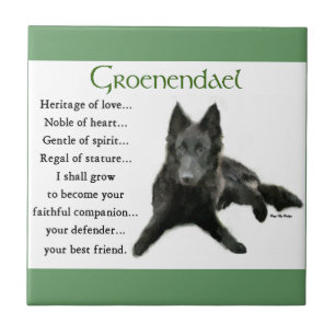 Belgian Sheepdog Heritage of Love Tile