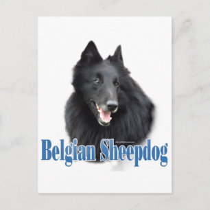 Belgian Sheepdog Name Postcard