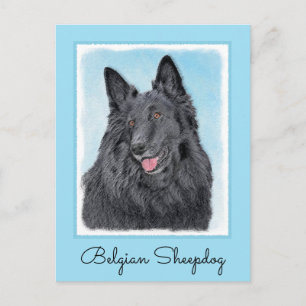 Belgian Sheepdog Painting - Cute Original Dog Art Postcard