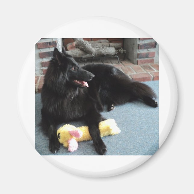 Belgian Shepherd by the Fireplace Magnet (Front)