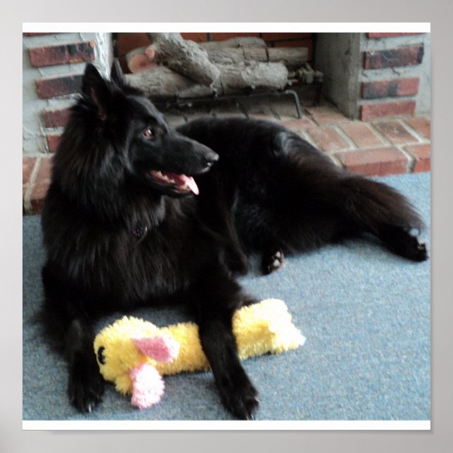 Belgian Shepherd by the Fireplace Poster (Front)