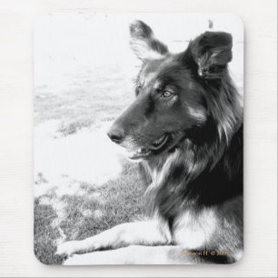 Belgian Shepherd Dog Black and White Mousepad