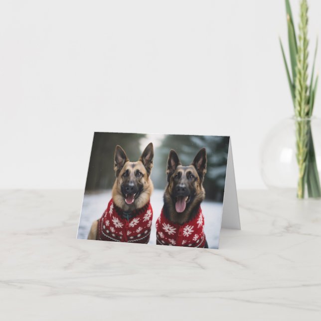 Belgian Shepherd Dogs Christmas Card (Front)