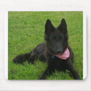 Belgian_Shepherd_Groenendael_puppy Mouse Pad
