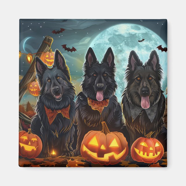 Belgian Shepherd Halloween Spooky Magnet (Front)