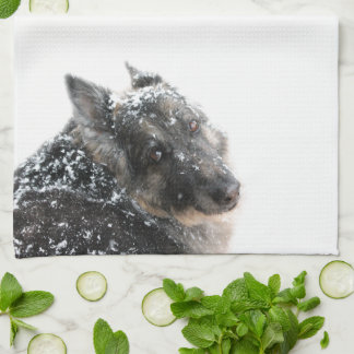 Belgian Shepherd in Snow Kitchen Towel