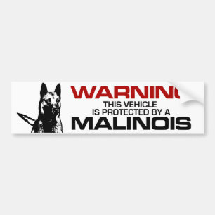 Belgian shepherd - Malinois Bumper Sticker
