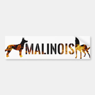 Belgian shepherd - Malinois Bumper Sticker