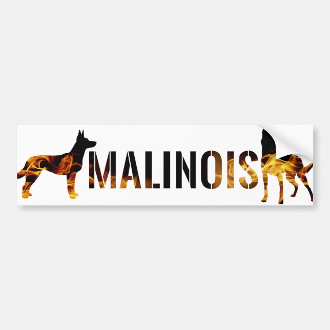 Belgian shepherd - Malinois Bumper Sticker (Front)
