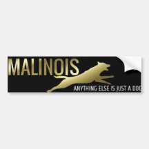 Belgian shepherd - Malinois Bumper Sticker