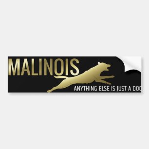 Belgian shepherd - Malinois Bumper Sticker