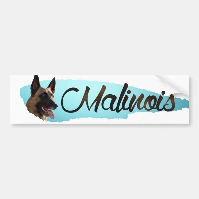 Belgian shepherd - Malinois Bumper Sticker (Front)