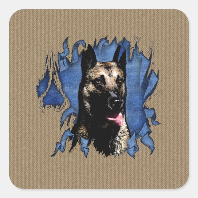 Belgian shepherd - Malinois Square Sticker (Front)