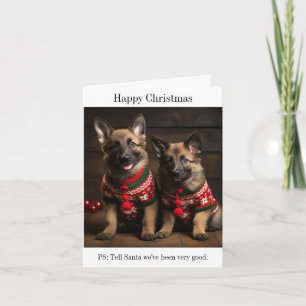 Belgian Shepherd Puppies Christmas Card