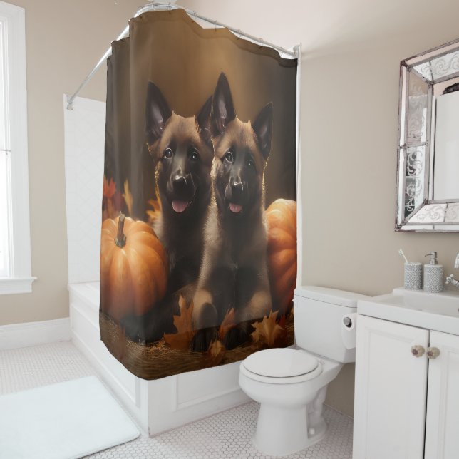 Belgian Shepherd Puppy Autumn Delight Pumpkin (In Situ)