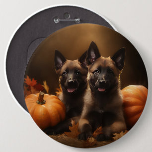 Belgian Shepherd Puppy Autumn Delight Pumpkin 6 Inch Round Button