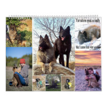 Belgian Shepherd Tervuren calendar