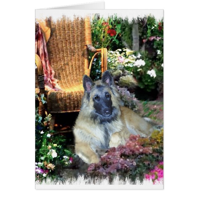 Belgian Tervuren Art Gifts (Front)