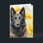 Belgian Tervuren Dog and Golden Poppies Birthday Card<br><div class="desc">Lovely poppies in full summer bloom and gorgeous shades of sunshine yellow really set off this lovely Belgian Tervuren Shepherd dog that pairs with a fun birthday message.</div>