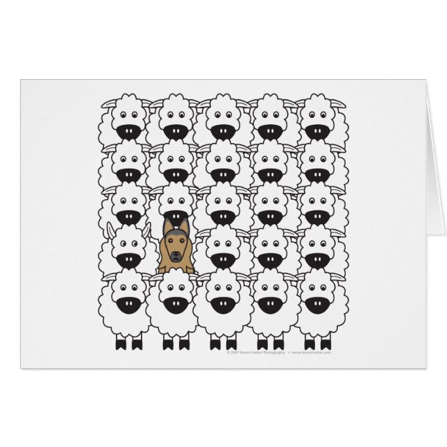 Belgian Tervuren in the Sheep (Front Horizontal)