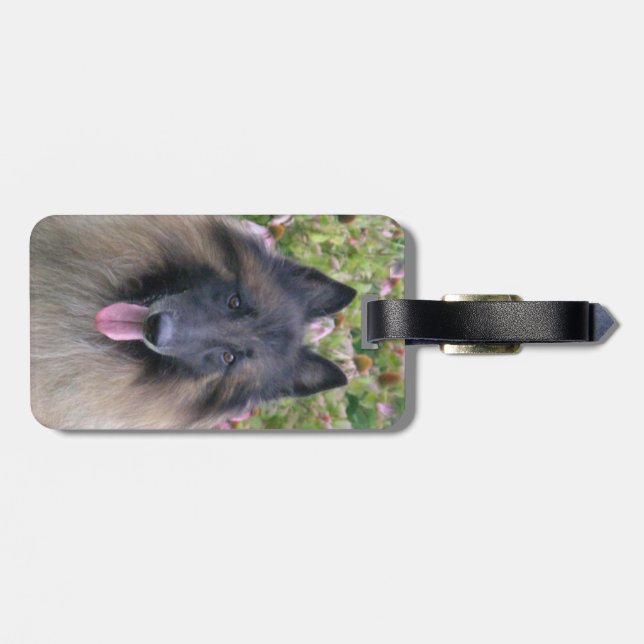 Belgian Tervuren Luggage Tag (Back Horizontal)