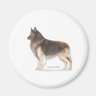 Belgian Tervuren Magnet