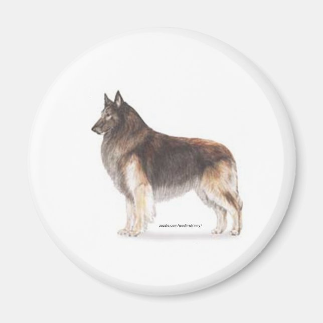 Belgian Tervuren Magnet (Front)