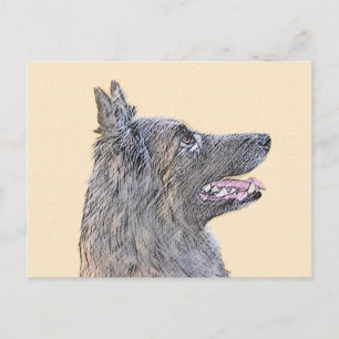 Belgian Tervuren Painting - Cute Original Dog Art Postcard