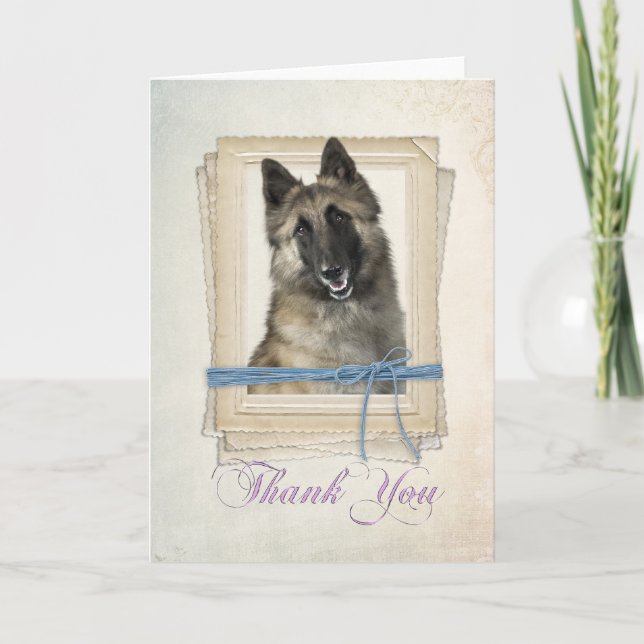 Belgian Tervuren Thank You Card (Front)