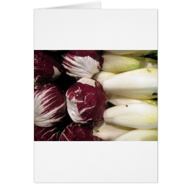 Belgique Endigo (Devant)