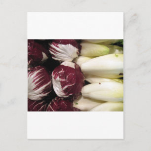 Belgium Endigo Postcard