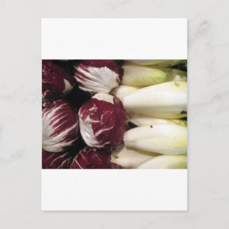 Belgium Endigo Postcard