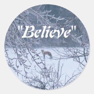 "Believe" Fox in Winter Field Classic Round Sticker