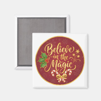 Believe in the Magic Magnet