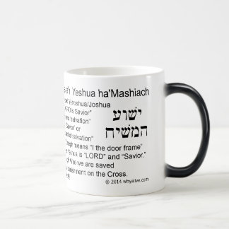 Believe in the Name Magic Mug