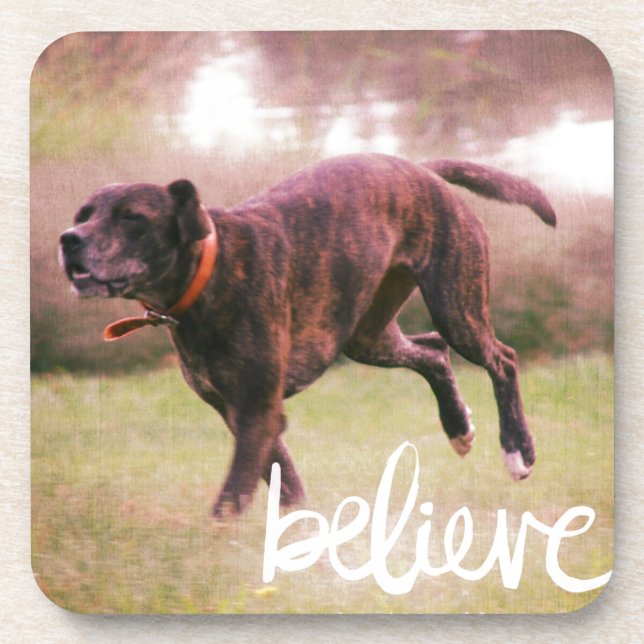 Believe in YourSelf Dog Coaster (Front)