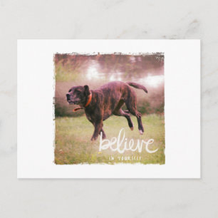 Believe in YourSelf Dog Postcard