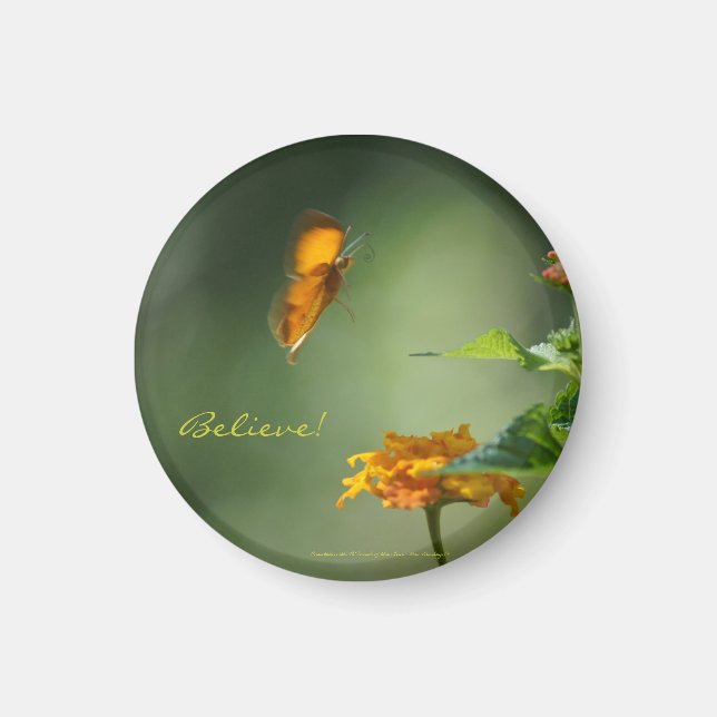 Believe! Magnet (Front)