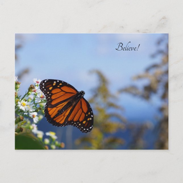 Believe! Postcard (Front)