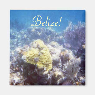 Belize ! Aimant de récif de corail
