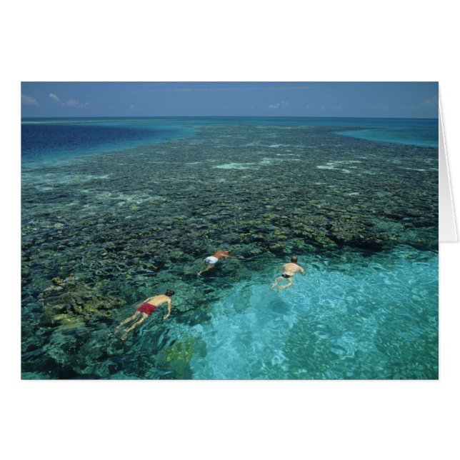 Belize, Barrier Reef, Lighthouse Reef, Blue (Front Horizontal)
