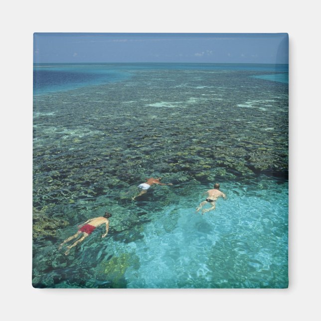 Belize, Barrier Reef, Lighthouse Reef, Blue Magnet (Front)