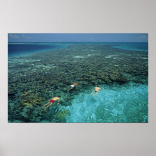 Belize, Barrier Reef, Lighthouse Reef, Blue Poster