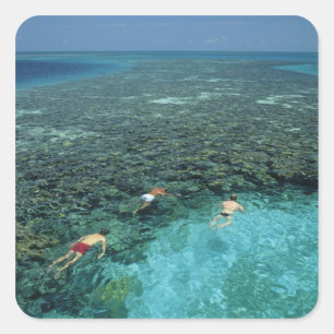 Belize, Barrier Reef, Lighthouse Reef, Blue Square Sticker