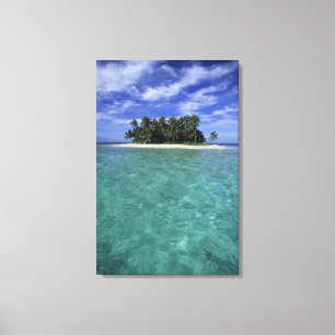 Belize, Barrier Reef, Unnamed island or cay. Canvas Print