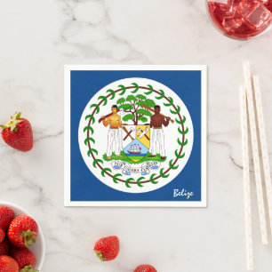 Belize & Belize Flag party fashion /sport fans Napkin