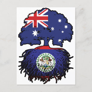 Belize Belizean Australian Australia Tree Roots Postcard