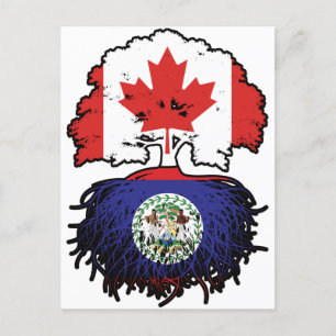 Belize Belizean Canadian Canada Tree Roots Flag Postcard